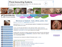 Tablet Screenshot of feulenoir.com
